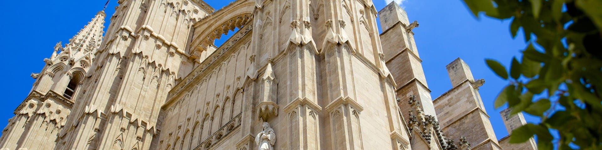 Mallorca Cathedral which includes religious aspects, a church or cathedral and heritage architecture