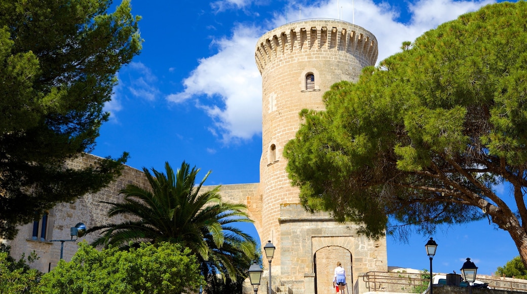 Castillo de Bellver fasiliteter samt slott og historisk arkitektur