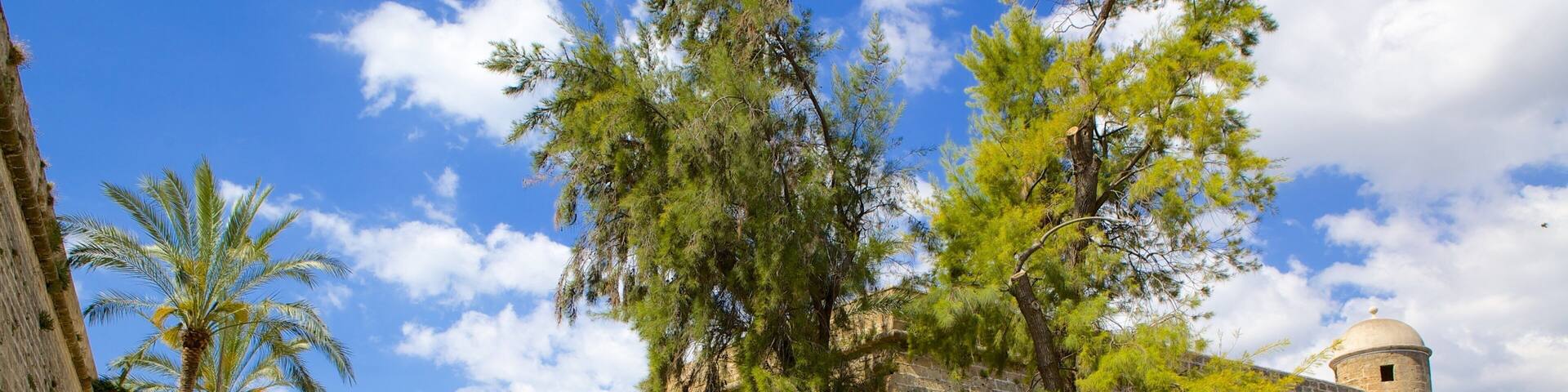 Es Baluard montrant patrimoine architectural et scènes de rue