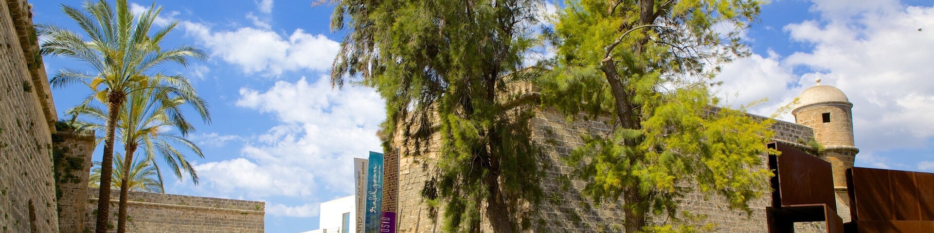 巴魯雅現代藝術館 设有 歷史建築 和 街道景色