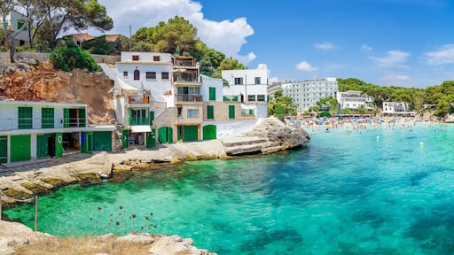 Cala SantanyĂ