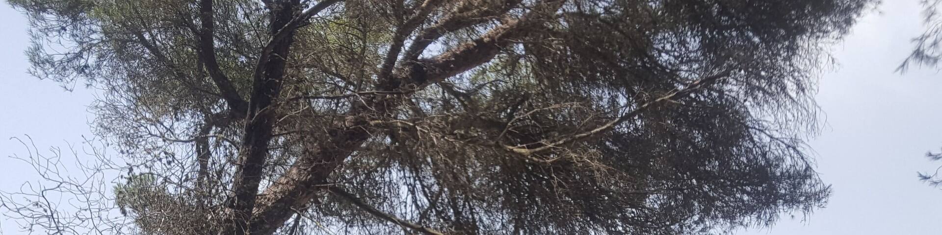 Magnificent beach - Menorca