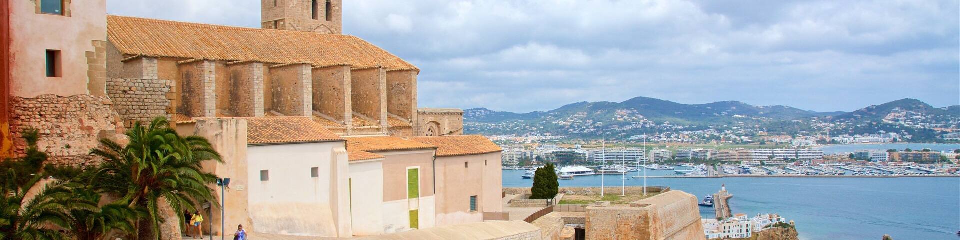 A coastal city with historic buildings, a fortified wall, and a harbor with boats.