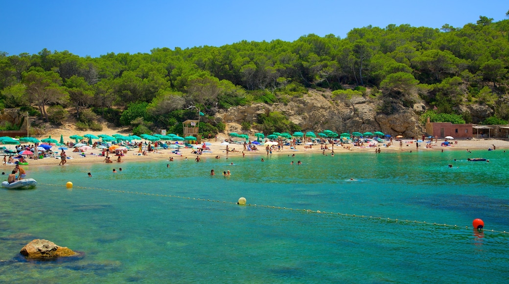 Ibiza montrant paysages cĂŽtiers