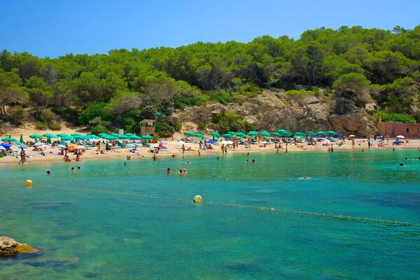 Ibiza mettant en vedette vues littorales