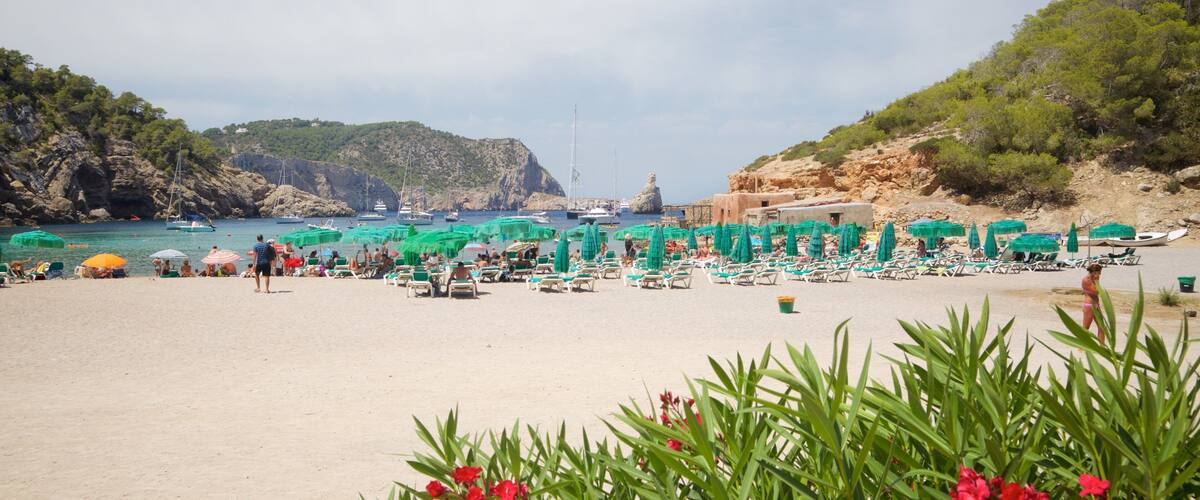 Benirras Beach showing general coastal views, wildflowers and a sandy beach