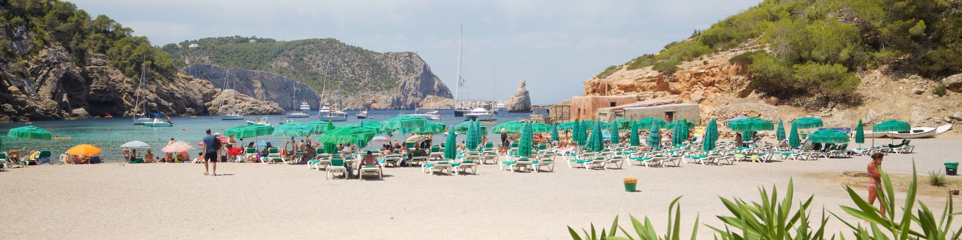 Benirras Beach showing general coastal views, wildflowers and a sandy beach