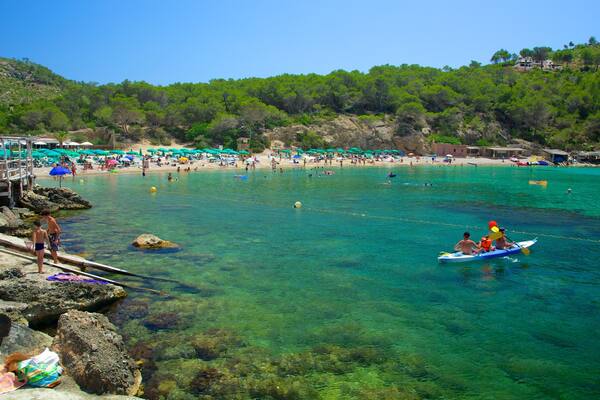 Plage de Benirras qui includes corail, kayak ou canoë et plage de galets