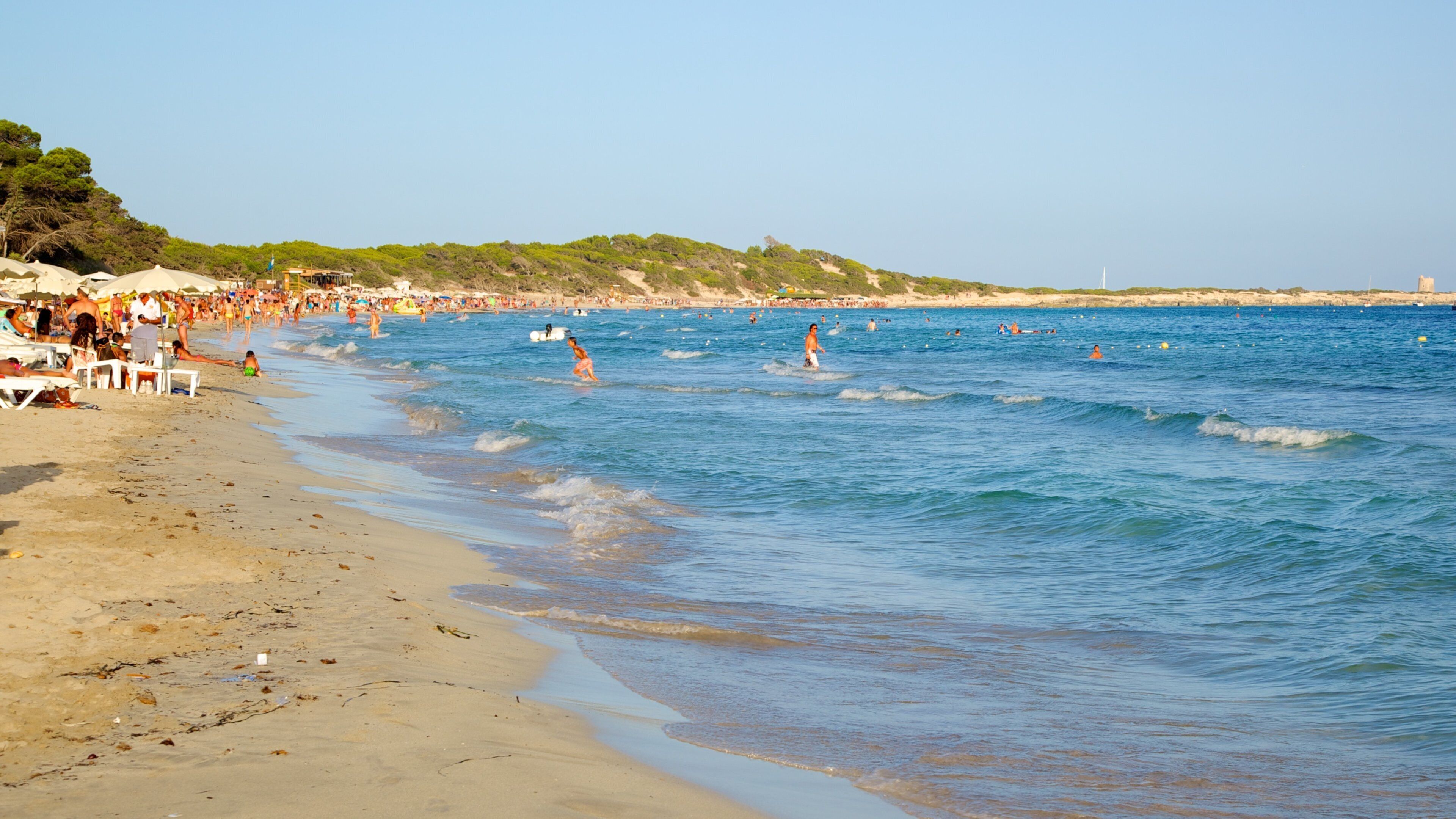 Las Salinas Beach which includes swimming and a beach