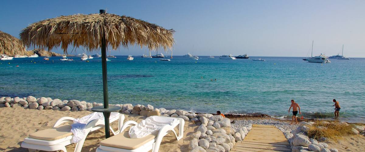Strand Cala Jondal toont een zandstrand, varen en tropische uitzichten