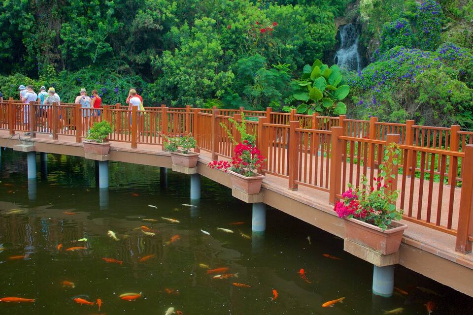 A wooden bridge over a koi pond with people on it.