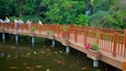 A wooden bridge over a koi pond with people on it.
