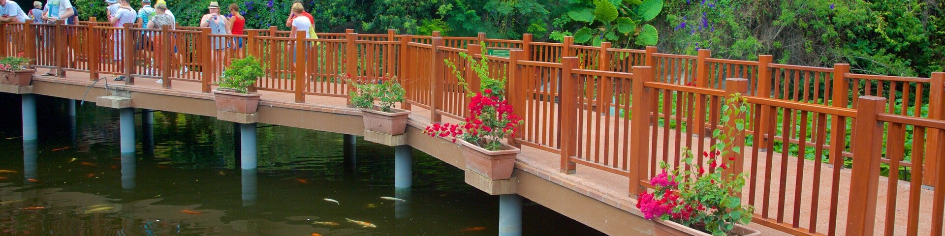 Loro Parque which includes marine life, rainforest and a garden