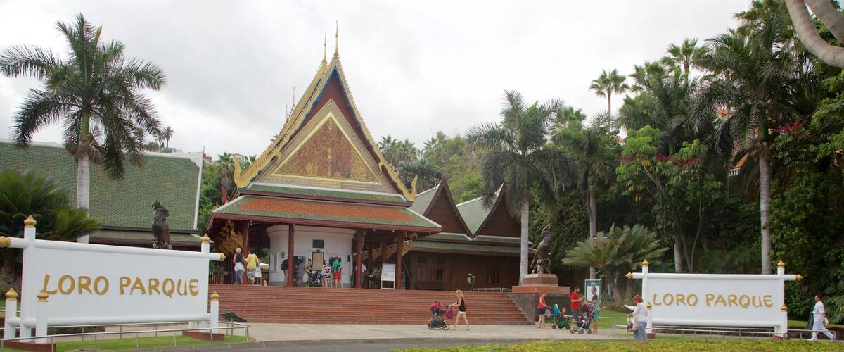 Loro Parque qui includes animaux de zoo et signalisation