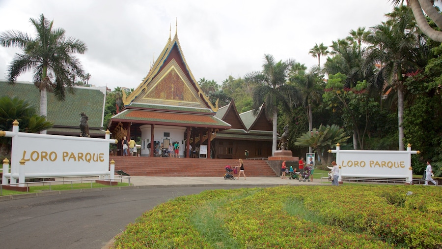 Loro Parque presenterar zoodjur och skyltar