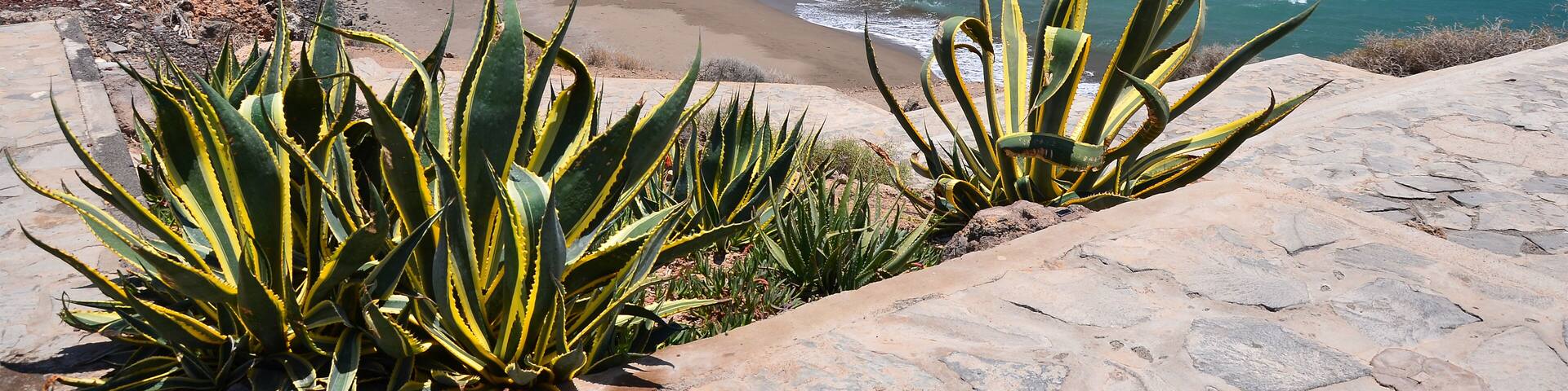 View of La Tejita beach, Tenerife, Canary islands, Spain