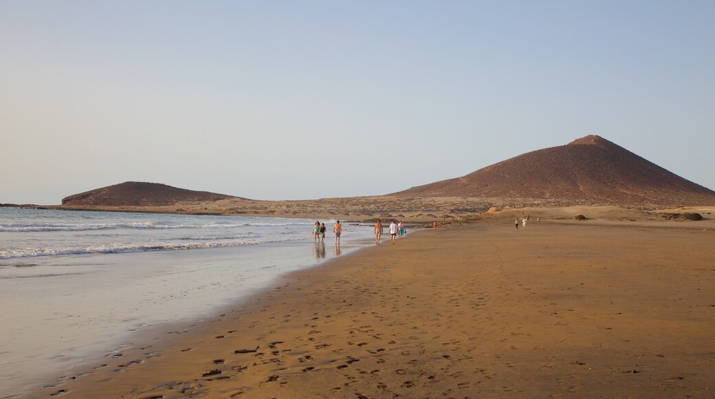 El Medano Beach which includes a beach, tranquil scenes and general coastal views
