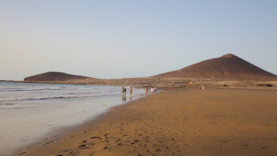 El Medano Beach which includes a beach, tranquil scenes and general coastal views