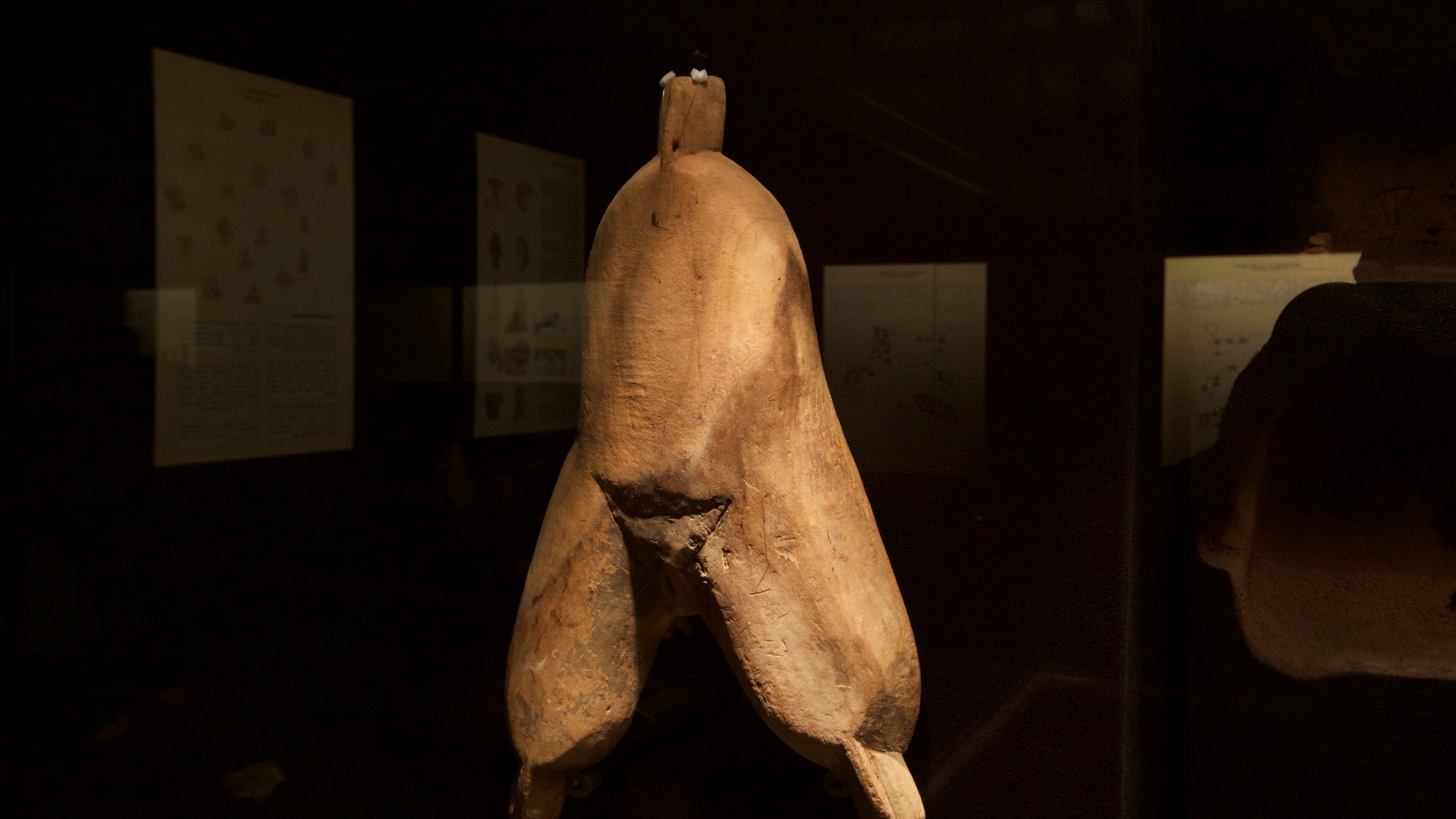 Kanarisk museum som inkluderer innendørs