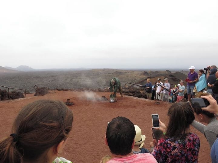 Timanfaya's fascinating nature.
