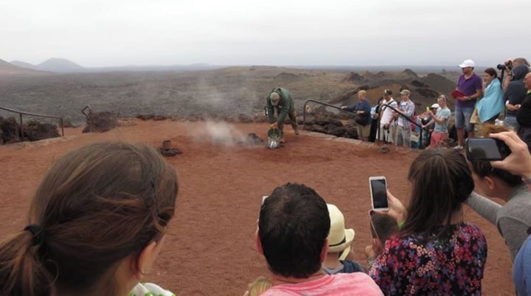 Timanfaya's fascinating nature.