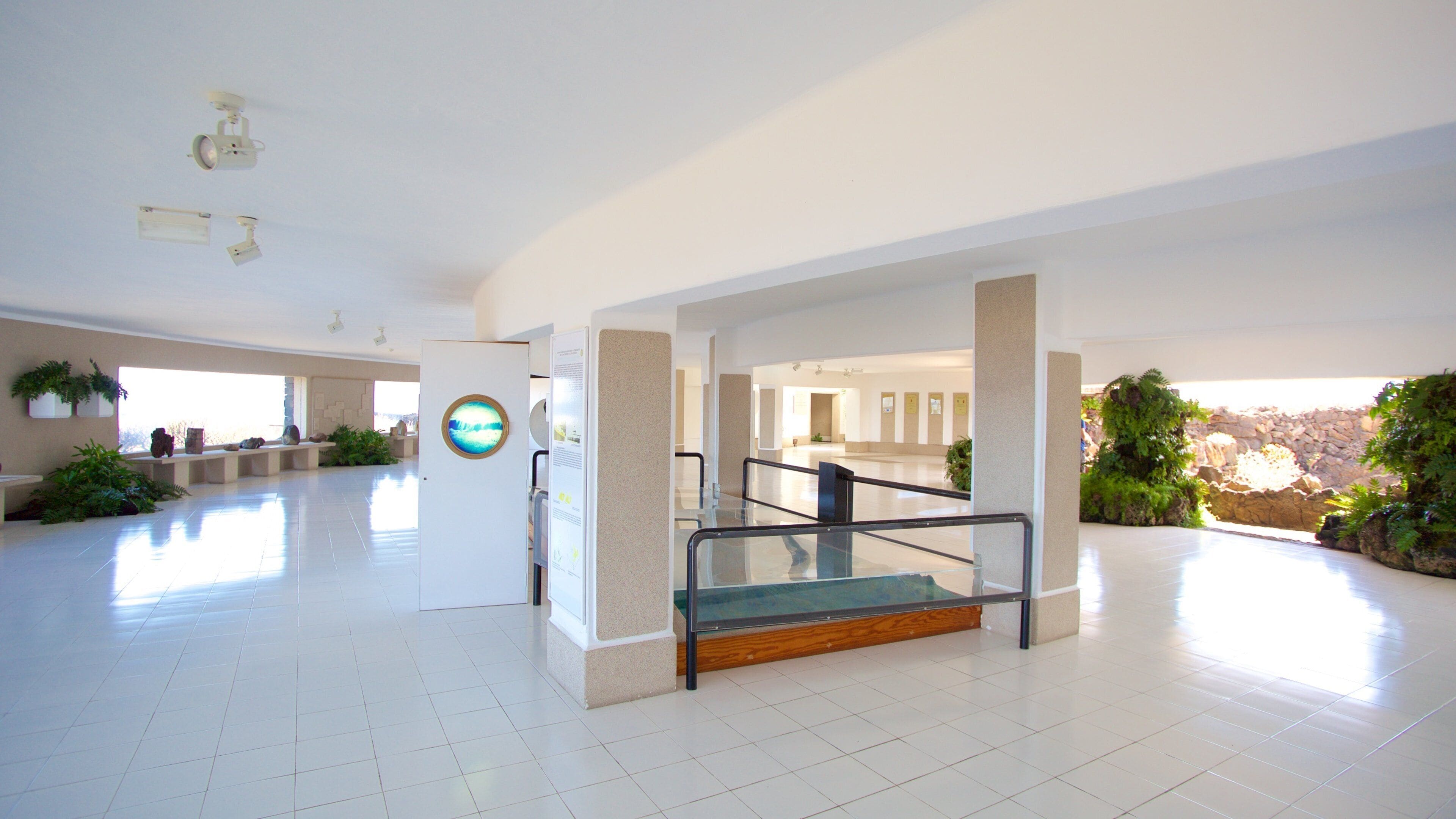 Jameos del Agua fasiliteter samt innendørs