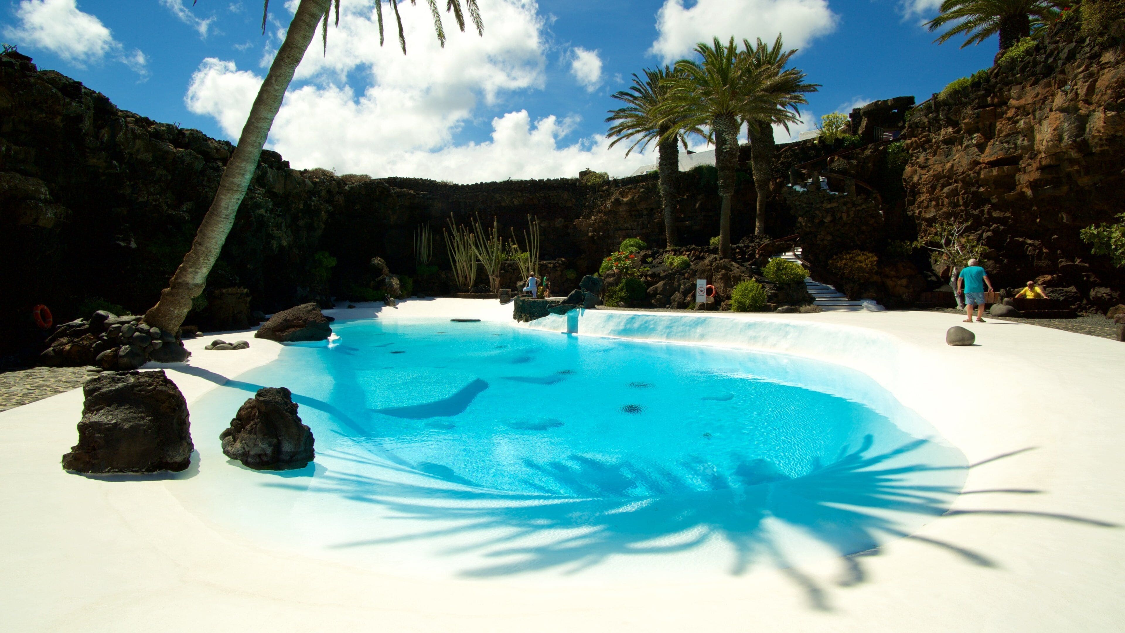Jameos del Agua which includes tropical scenes and a pool