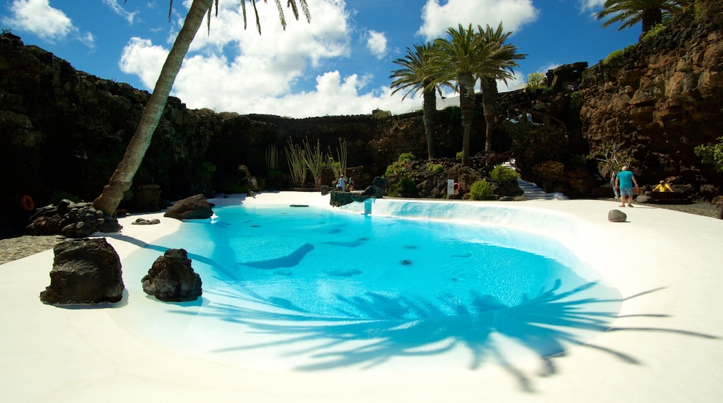 Jameos del Agua which includes tropical scenes and a pool