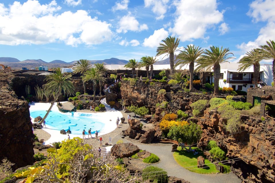 A pool surrounded by rocky terrain and palm trees.