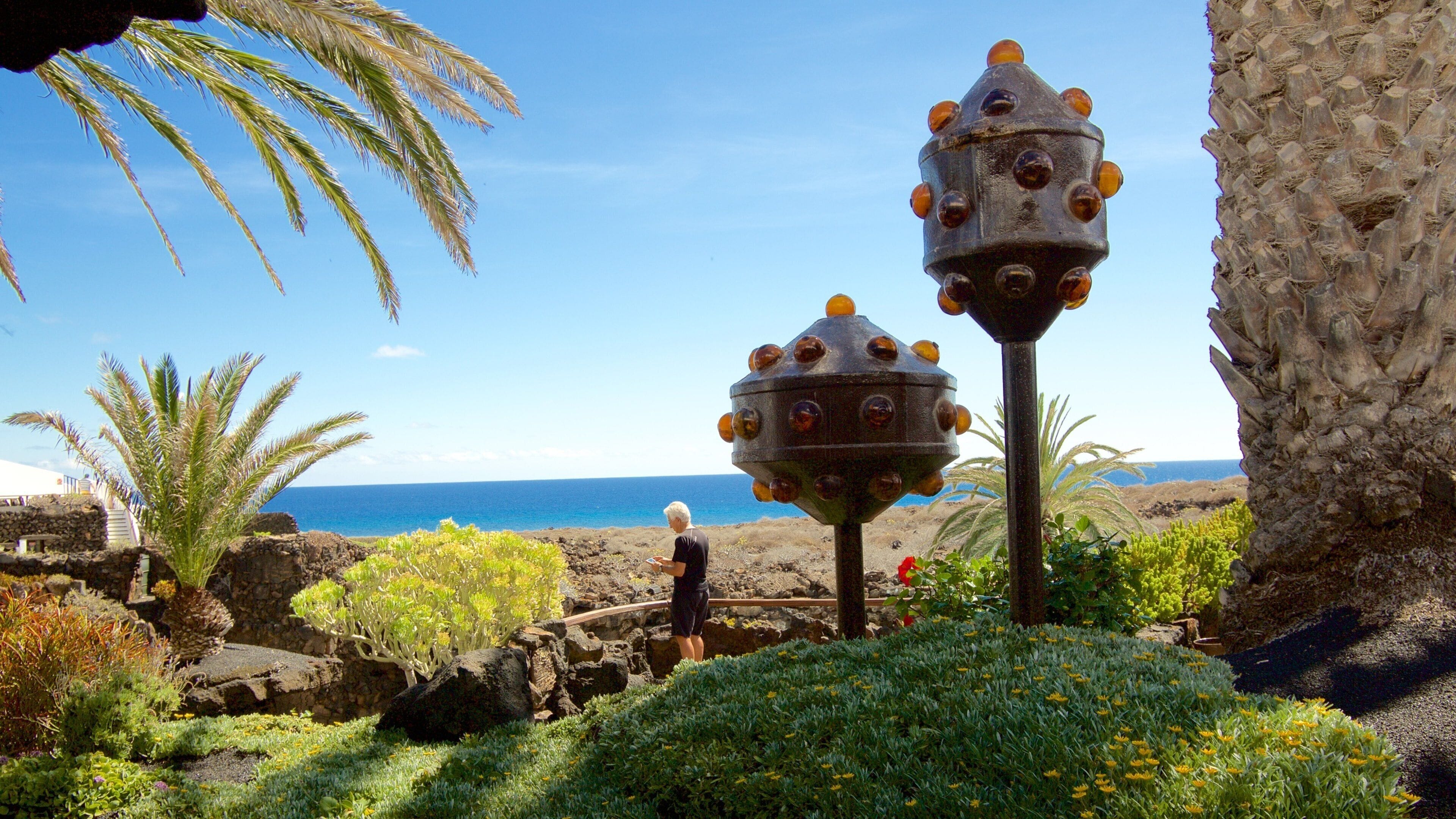 Jameos del Agua som viser hage