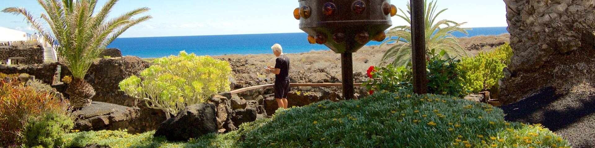Jameos del Agua showing a park