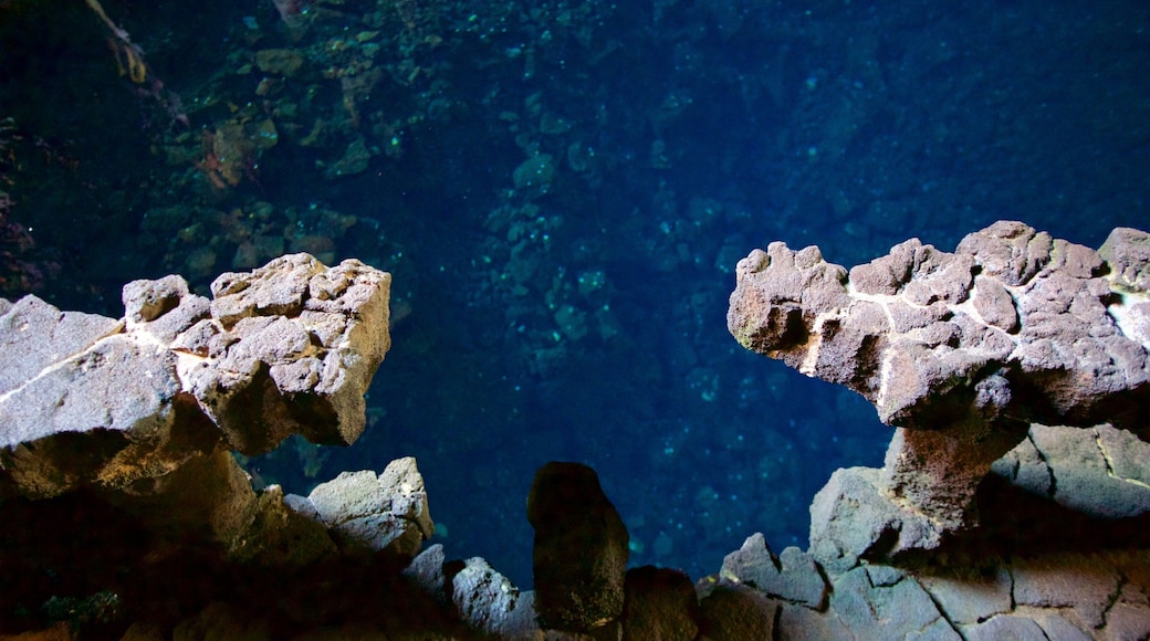 Jameos del Agua featuring caves