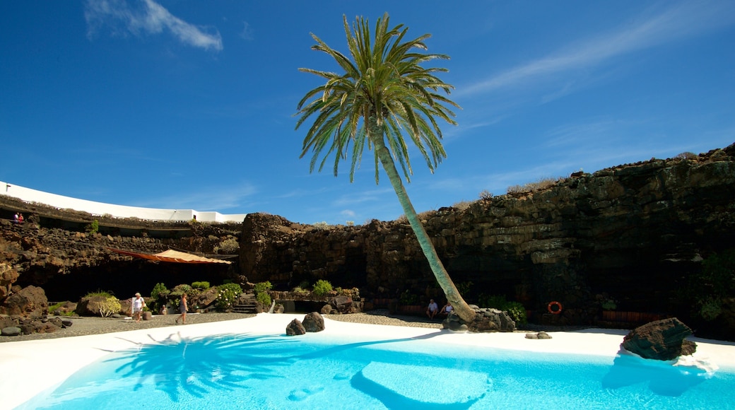 Jameos del Agua showing a pool and tropical scenes