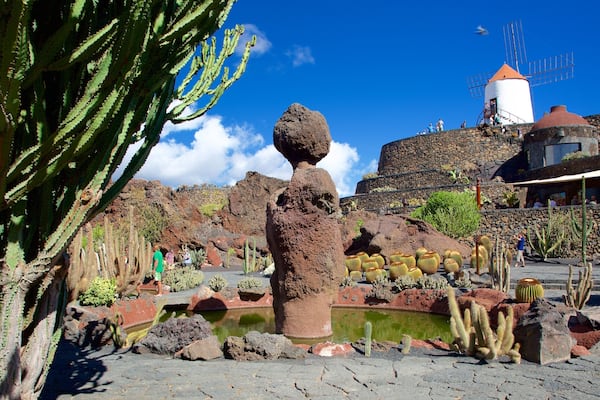 Jardin des cactus mettant en vedette moulin Ă vent et parc
