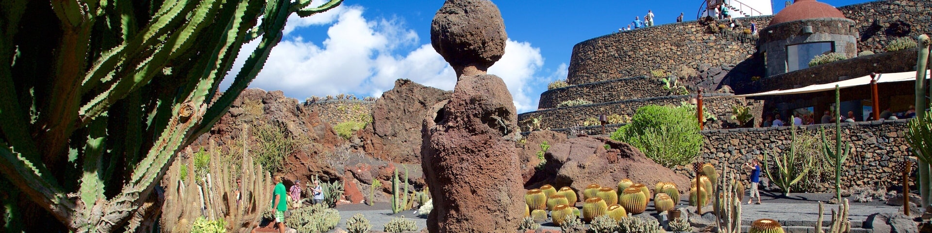 Kaktusgarten mit einem Garten und Windmühle