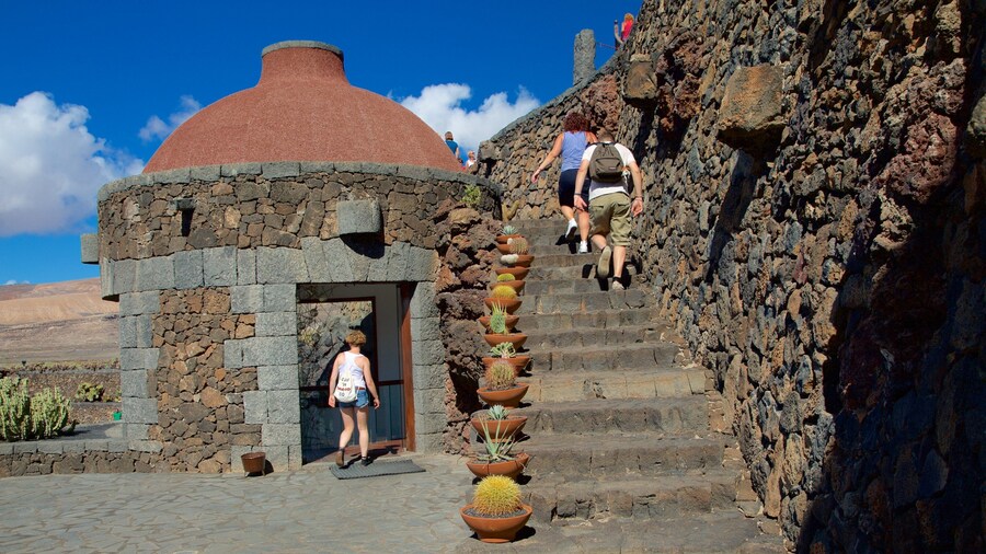 Cactus Garden which includes a park