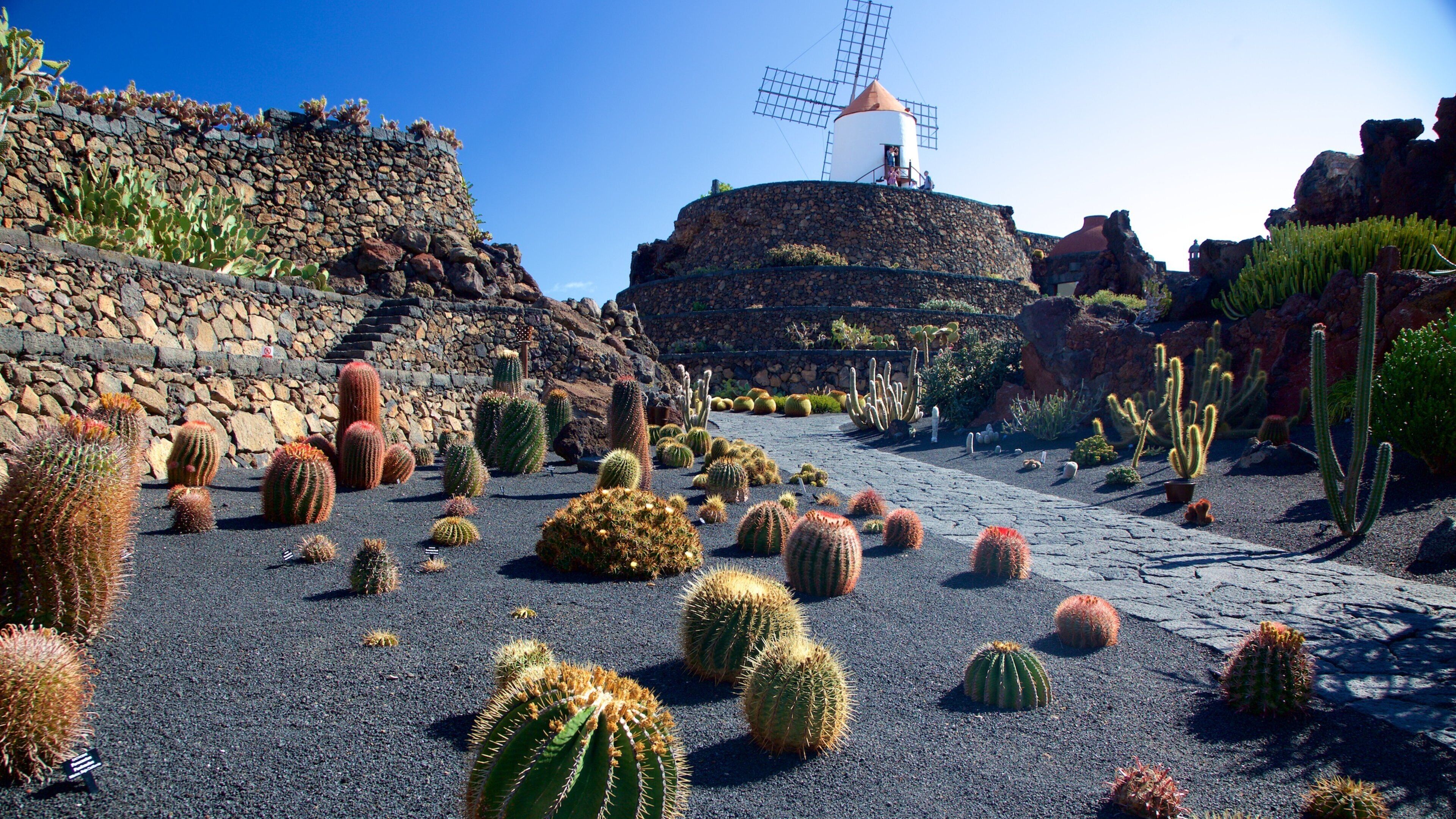 Cactus Garden which includes a park and a windmill