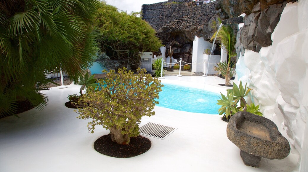 セザール マンリケ財団 どの含み プール