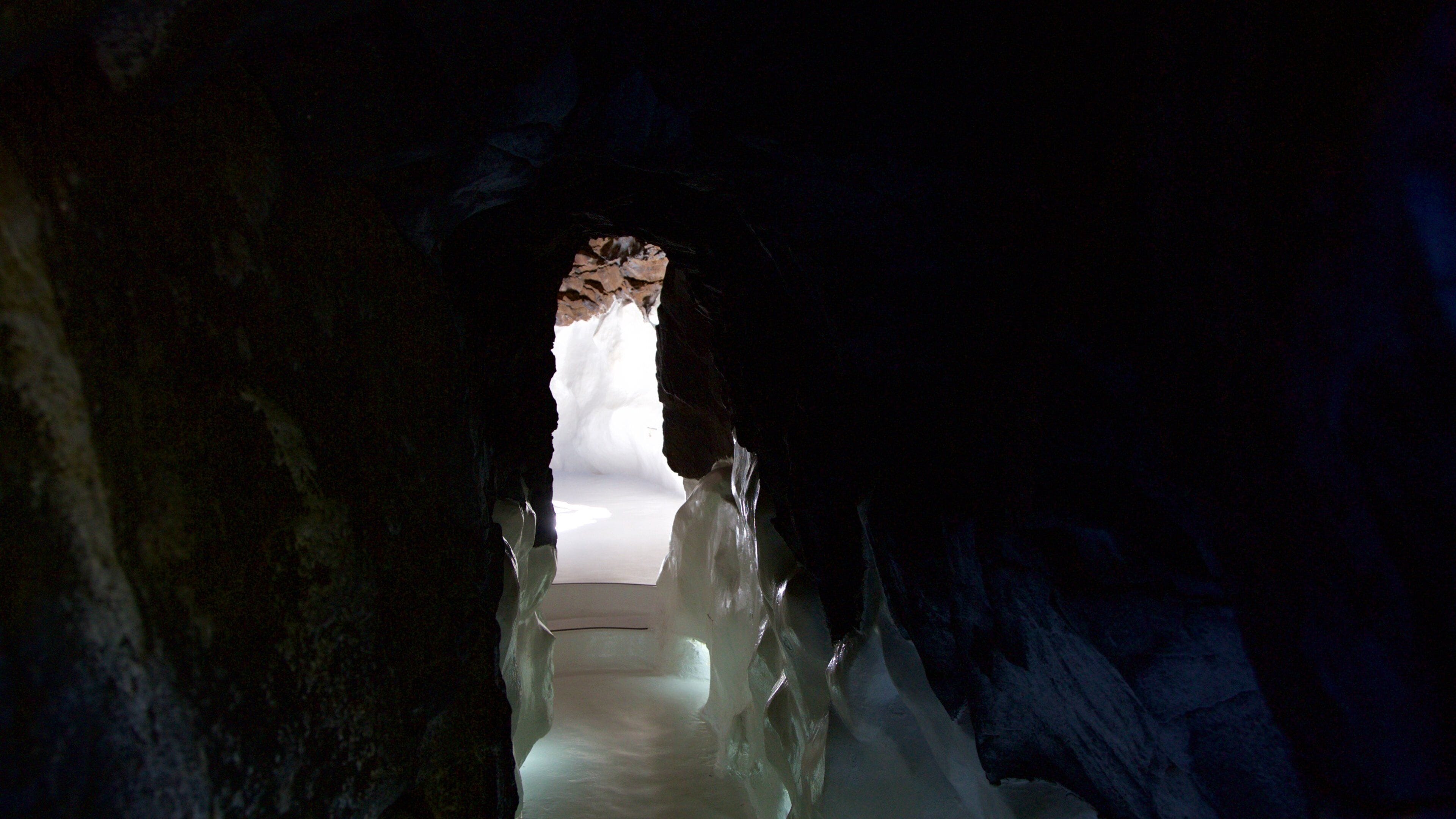 Cesar Manrique Foundation