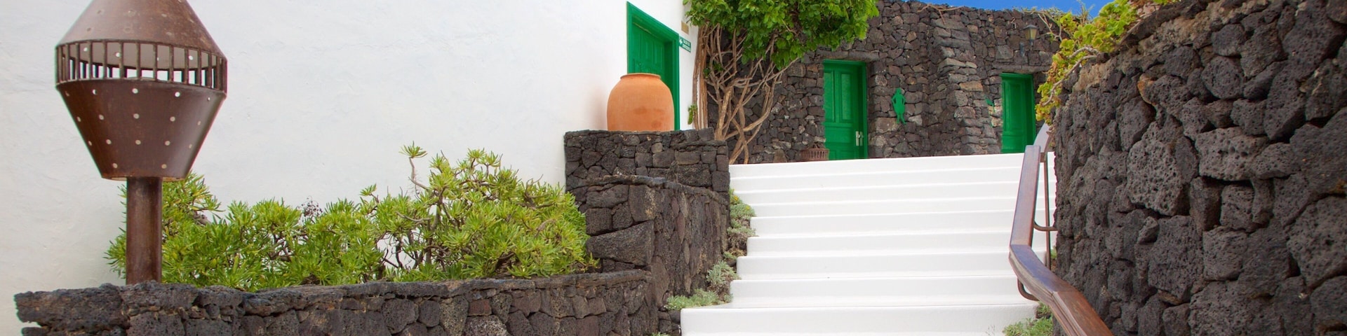 Fundación César Manrique