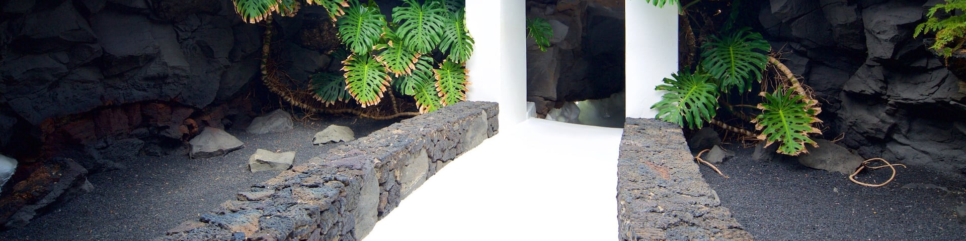 Cesar Manrique Foundation