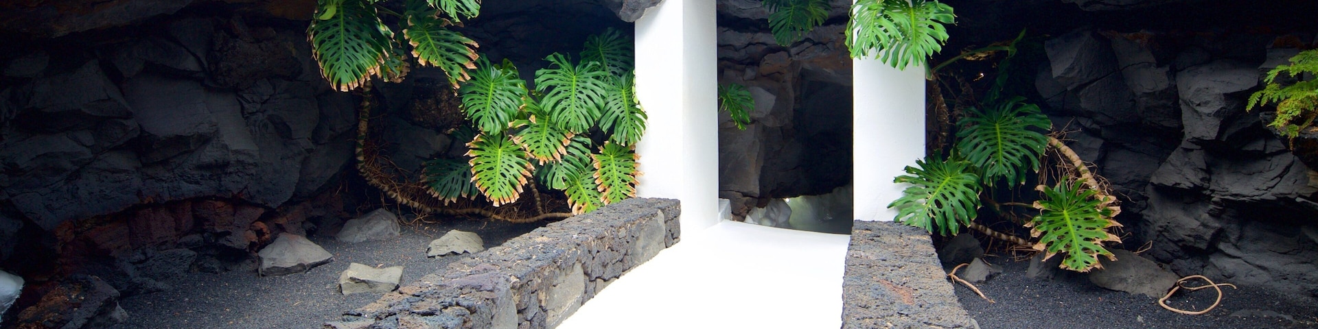 Cesar Manrique Foundation