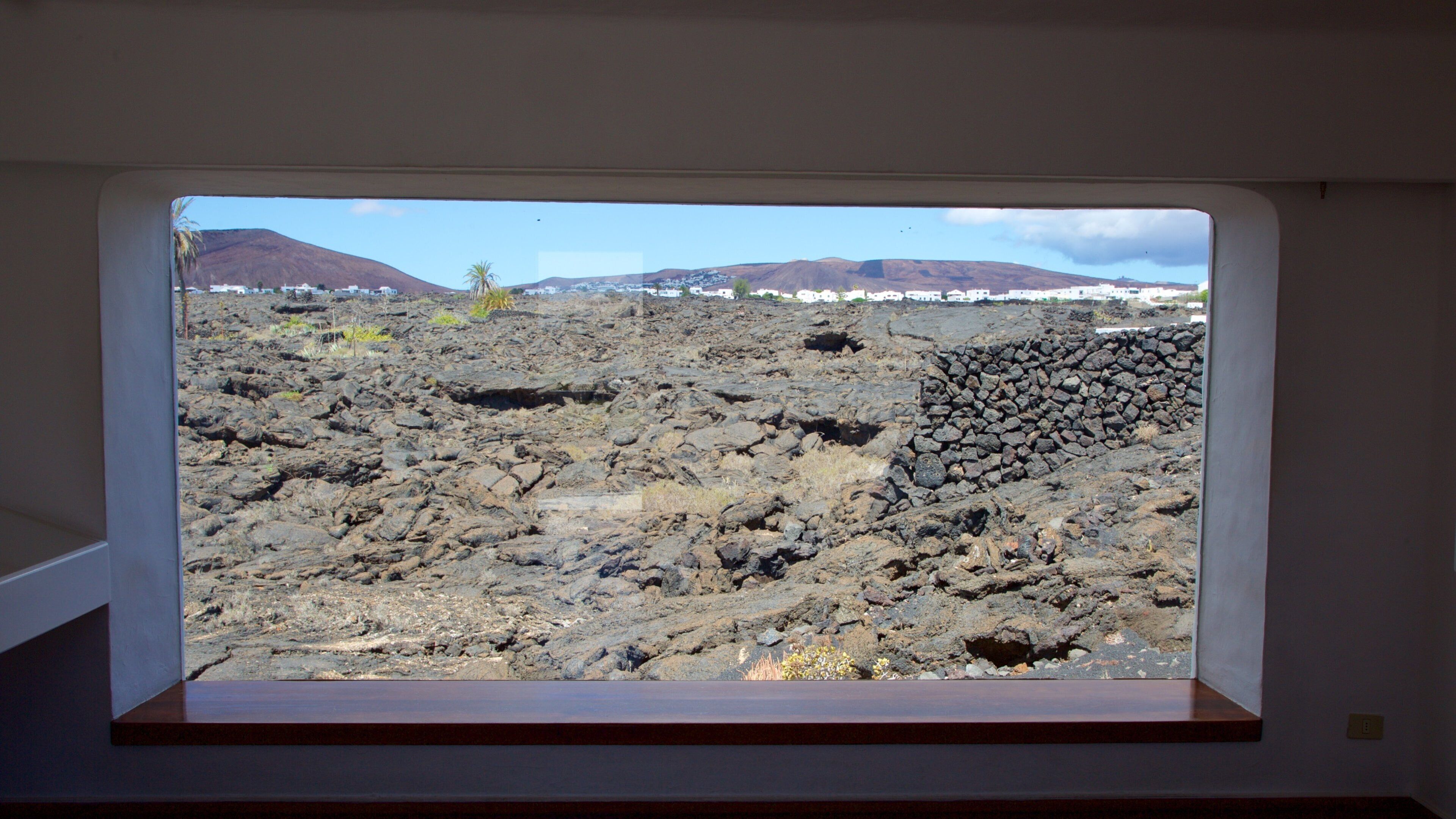 セザール マンリケ財団