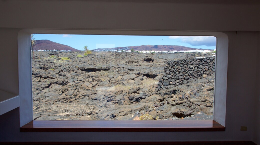 セザール マンリケ財団