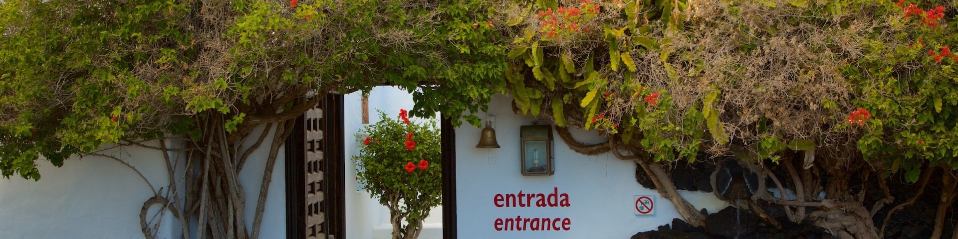 塞萨尔曼里克基金会