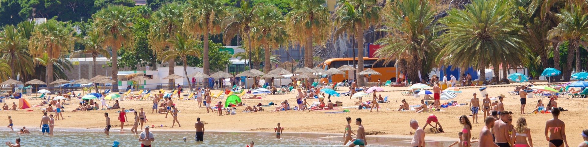 A crowded beach with people swimming and sunbathing, palm trees, and buildings in the background.