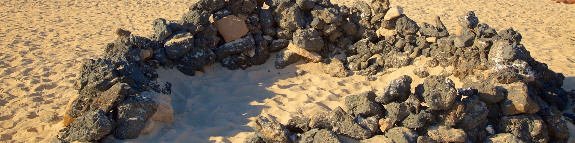 Playa de Corralejo que incluye una playa de arena y vistas generales de la costa