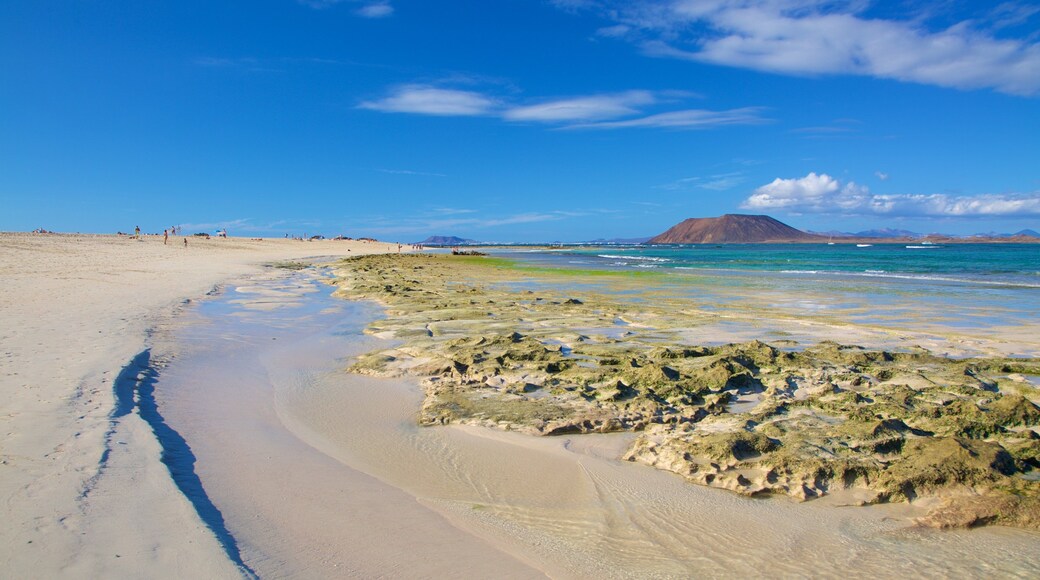 Corralejo Beach which includes a sandy beach and general coastal views