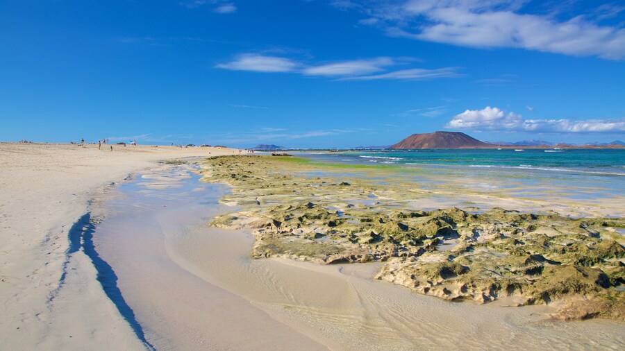 Corralejo Beach which includes a sandy beach and general coastal views