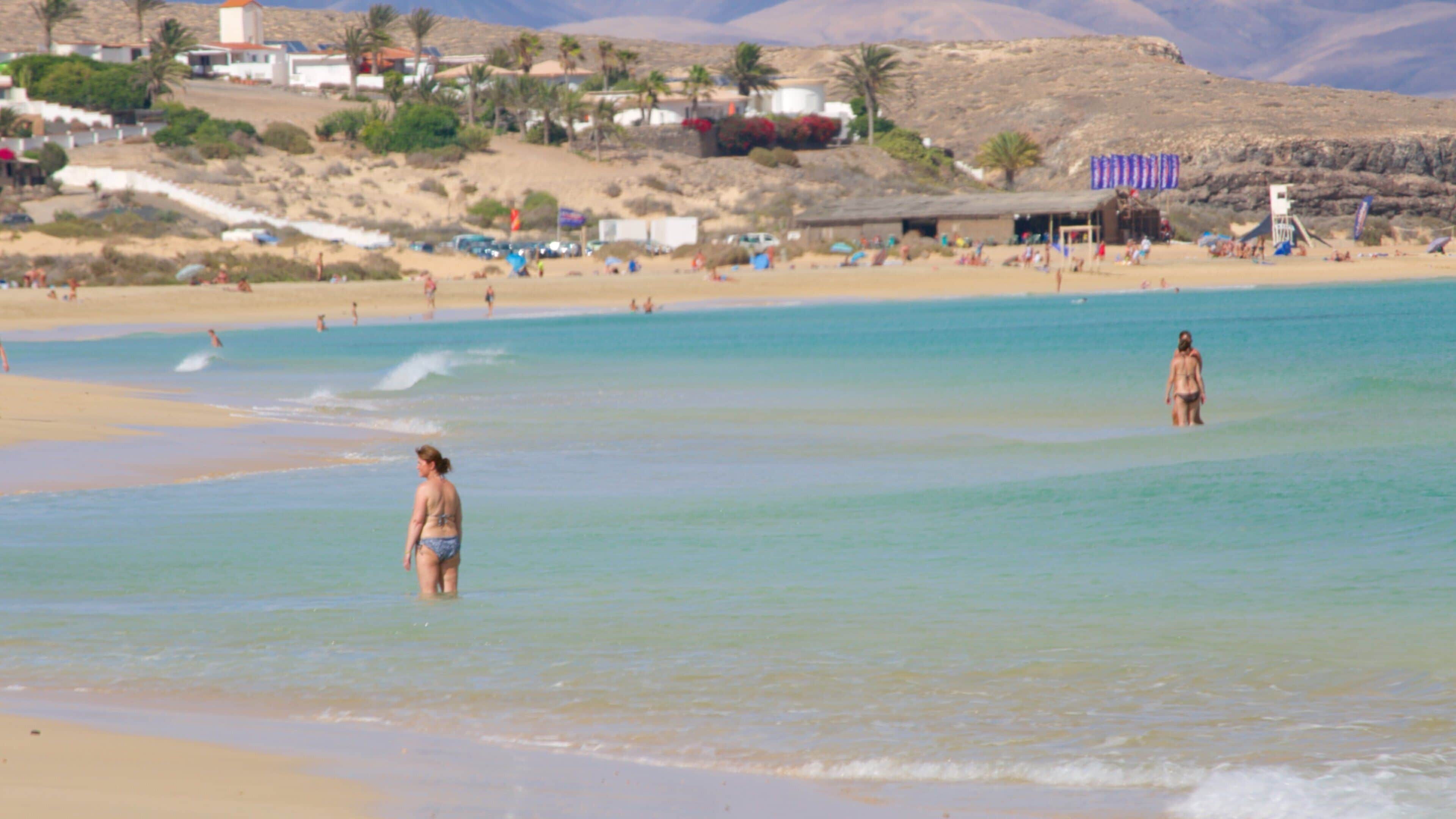 Sotavento de Jandia-stranden som viser kyst, kystby og sandstrand